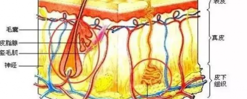 夏天來啦：激光脫毛疼不疼？要做幾次？