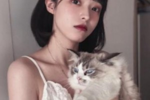 白山鳳凰醫(yī)學(xué)整形美容門診整形價格表(價目表)一覽及醫(yī)院介紹