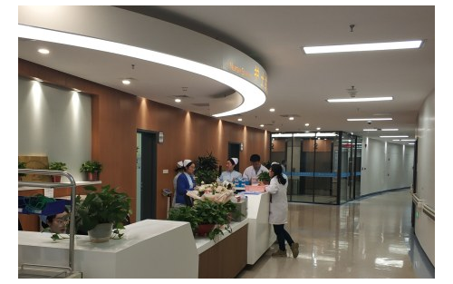 沈陽醫(yī)大一院整形科