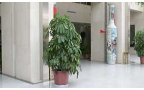 滄州中心醫(yī)院整形科