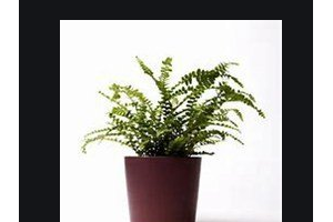 2020深圳希瑪林順潮眼科醫(yī)院整形價(jià)格表(價(jià)目表)全新發(fā)布