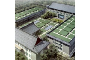 北京隆鼻醫(yī)生排行榜價(jià)格表  附隆鼻手術(shù)案例